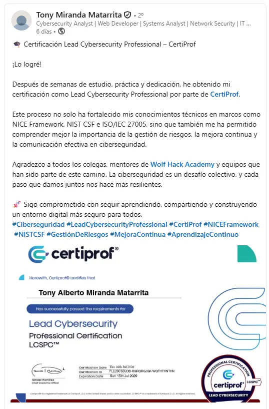 Historias de alumnos Wolf Hack Academy